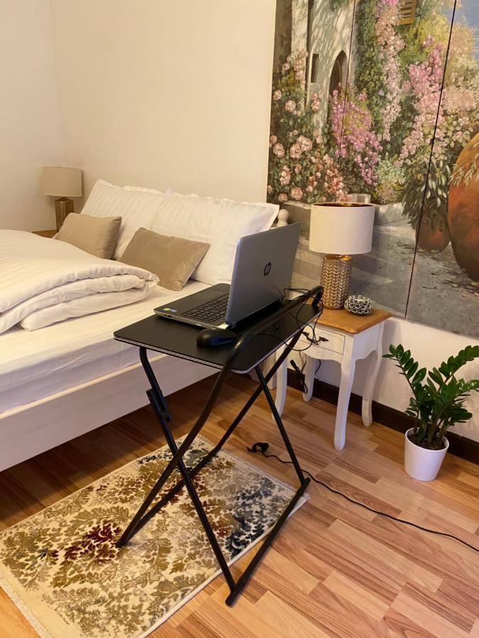 Charming Apartament シビウ エクステリア 写真