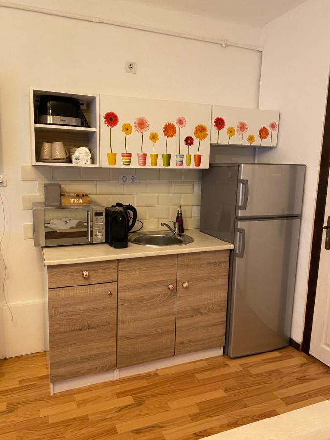 Charming Apartament シビウ エクステリア 写真
